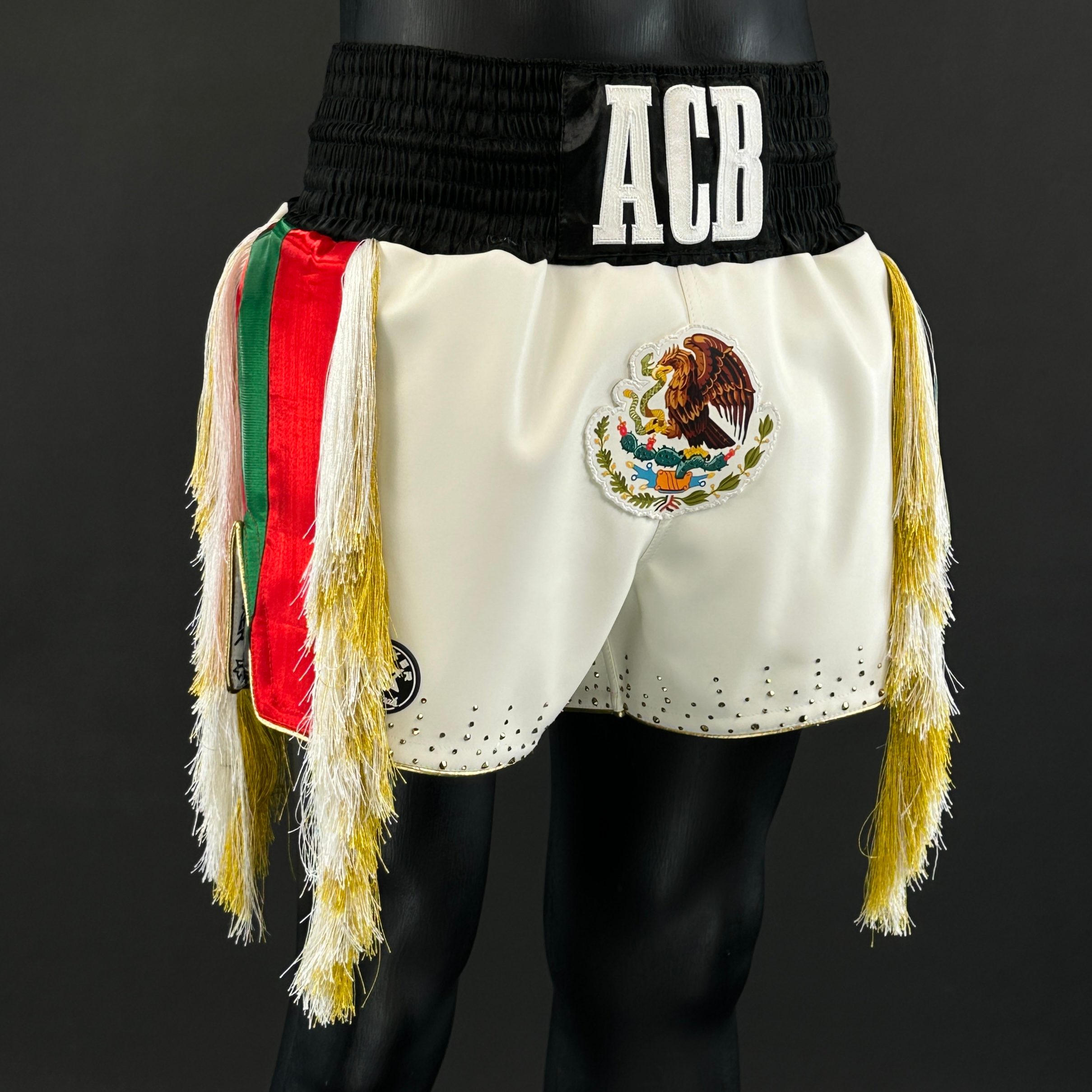 The Gen One MTS Antonio 184948 Muay Thai Shorts